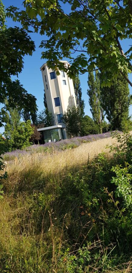 Ferienwohnung Little Joe Hotzelsroda Kültér fotó